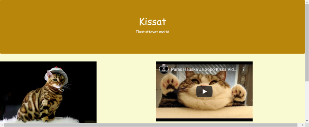 Kodarit 2 oppilaiden tekemä web sivu kissoista